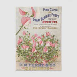 Papel De Seda Catálogo de Sementes Antigo D.M. Ferry e Companhia