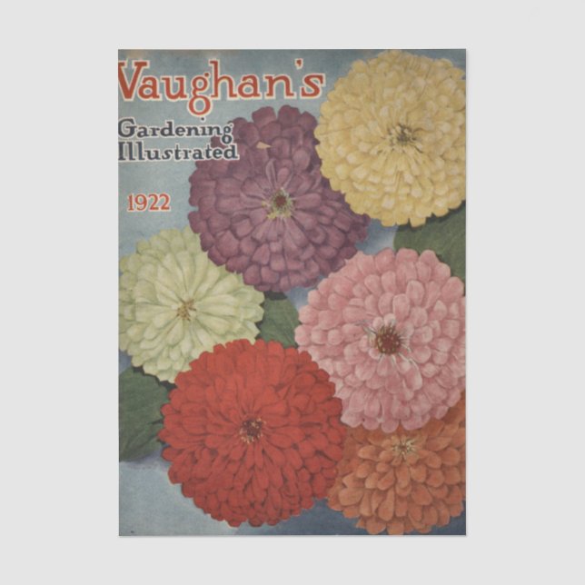 Papel De Seda Catálogo de Sementes Antigo Vaughan's, 1922 (Frente )