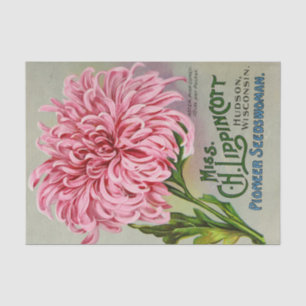 Papel De Seda Catálogo de Sementes da Vintage: Flores Lippincott