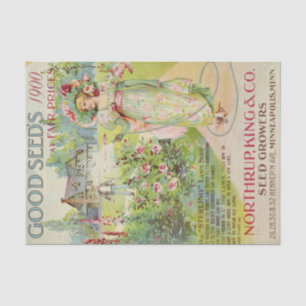 Papel De Seda Catálogo de Sementes da Vintage Northrup 1900