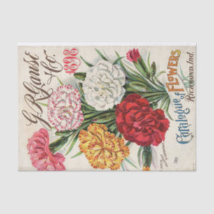 Papel De Seda Catálogo de Sementes de Cravos do G.R. Gause 1898