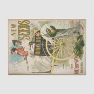 Papel De Seda Catálogo de Sementes de Vintage, D.M. Ferry Novas