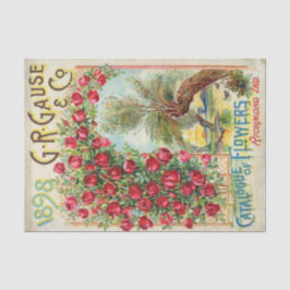Papel De Seda Catálogo de Sementes de Vintage, Grau 1898, Rosa v