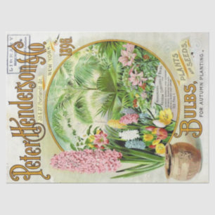 Papel De Seda Catálogo de Sementes de Vintage Henderson 1896 Lâm