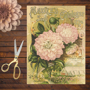 Papel De Seda Catálogo de Sementes Florais Vintage Pink Dahlia 1