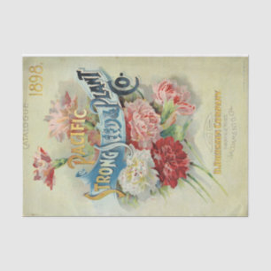Papel De Seda Catálogo de Vintage de 1898, Forte Semente e Plant