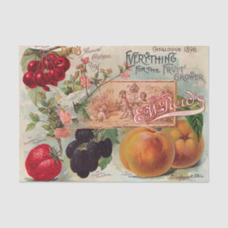 Papel De Seda Catálogo Vintage Reid Impressão 1896