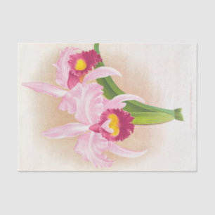 Papel De Seda Cattleya Trianae Var Purpurata (Orquídea) por Lind