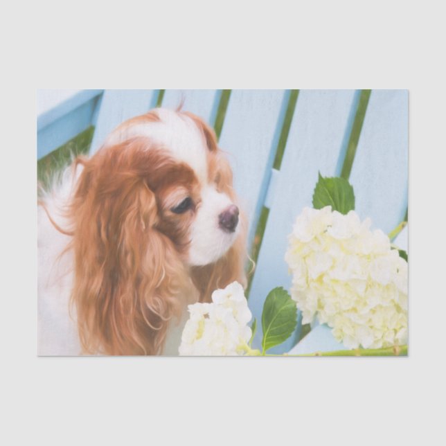 Papel De Seda Cavalier King Charles Spaniel Com Hortênsias (Frente )