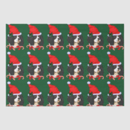 Papel De Seda Cavalier King Charles Spaniel Natal