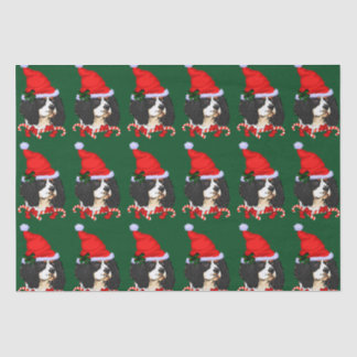 Papel De Seda Cavalier King Charles Spaniel Natal