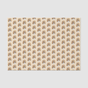 Papel De Seda Cavalier King Charles Spaniel Original
