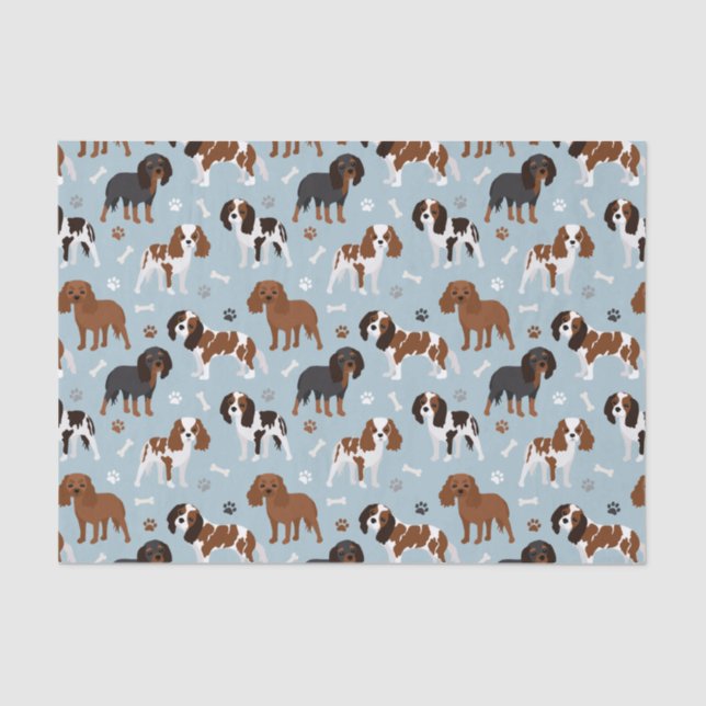 Papel De Seda Cavalier King Charles Spaniel Paws e Bones (Frente )