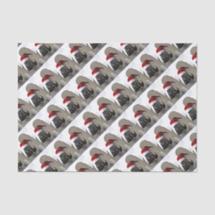 Papel De Seda Cavalo com chapéu do papai noel