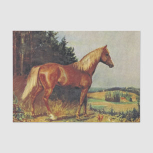 Papel De Seda Cavalo da castanha