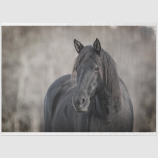 Papel De Seda Cavalo Escuro