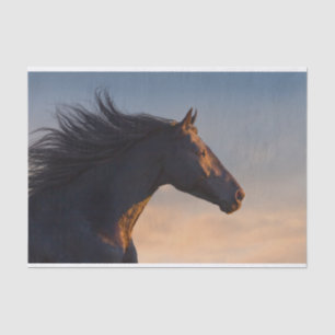 Papel De Seda Cavalo frisético negro à luz do sol