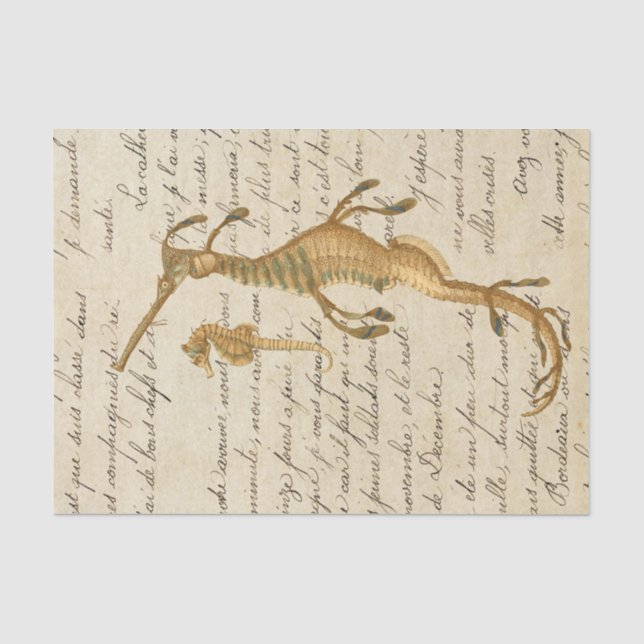 Papel De Seda Cavalo-Marinho Vintage (Frente )