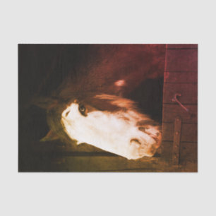 Papel De Seda Cavalo Marrom na Fazenda Apenas uma garota que ama