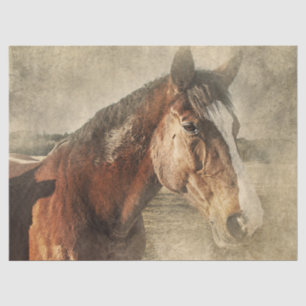 Papel De Seda Cavalo na poeira