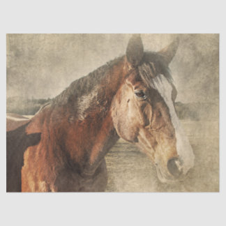 Papel De Seda Cavalo na poeira