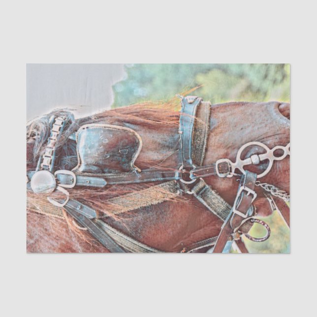 Papel De Seda Cavalo Oeste Rústico País Decoupage (Frente )