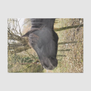 PAPEL DE SEDA CAVALO PRETO