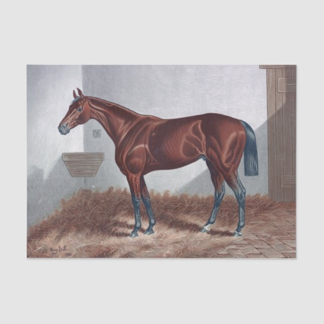 Papel De Seda Cavalo Vintage em Desnupage Estável (Frente )