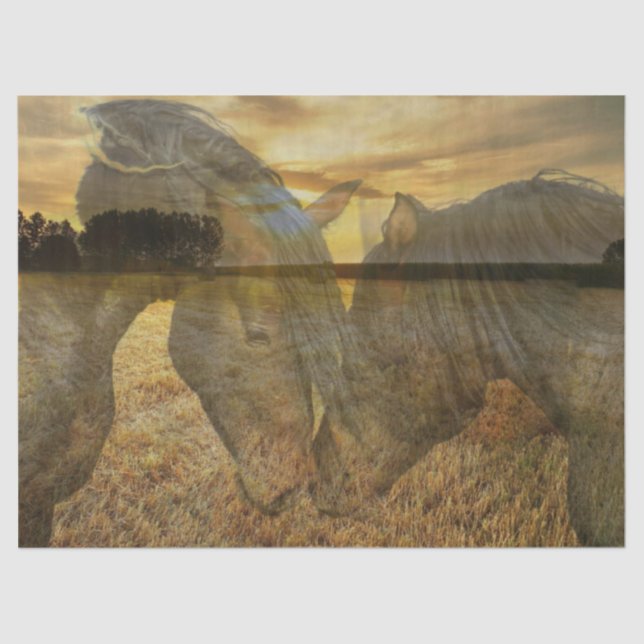 Papel De Seda Cavalos (Frente )