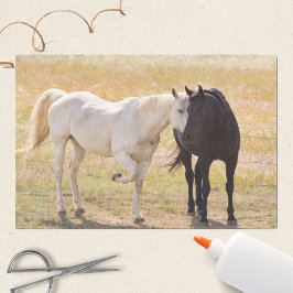 Papel De Seda Cavalos Adorantes