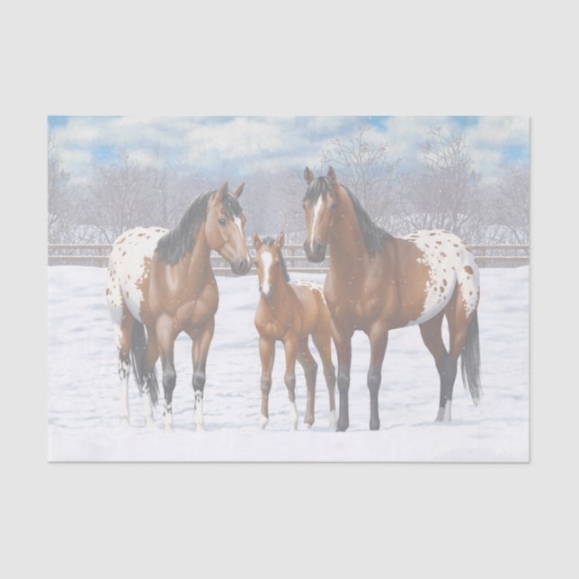 Papel De Seda Cavalos Appaloosa De Baía Castanha Em Neve (Frente )