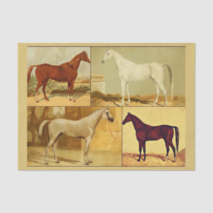 Papel De Seda Cavalos arábicos venenosos - colagem