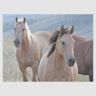 Papel De Seda Cavalos Coloridos