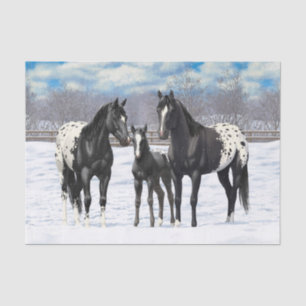 Papel De Seda Cavalos de Appaloosa Pretos Na Neve