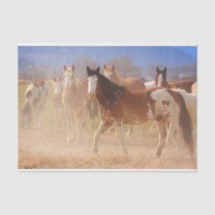 Papel De Seda Cavalos de Ranhura Ocidental