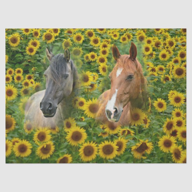 Papel De Seda Cavalos no Campo de Girassol (Frente )
