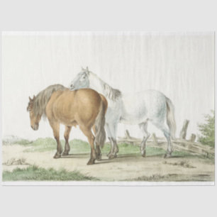 Papel De Seda Cavalos Vintage no País da Pastagem