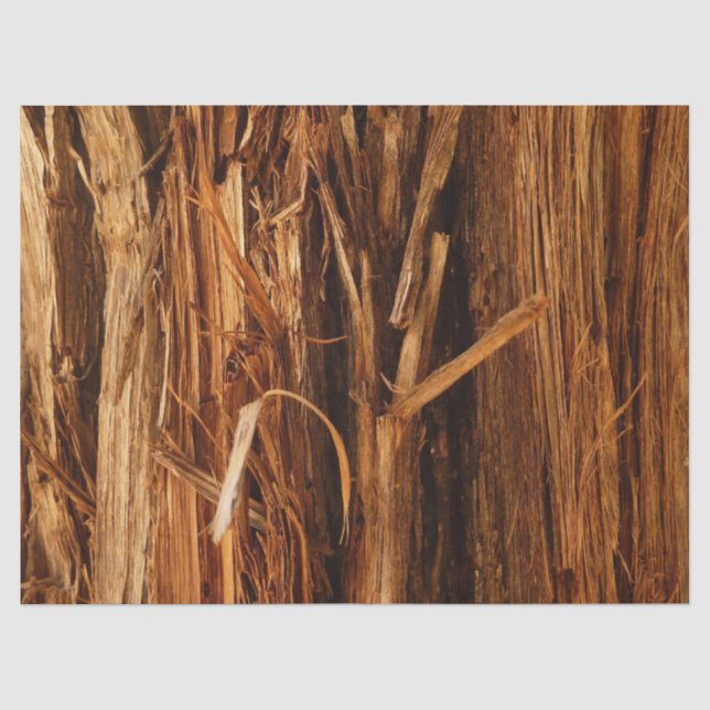 Papel De Seda Cedar Textura de Latido de Madeira (Frente )