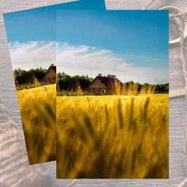 Papel De Seda Celeiro Rural em um Trigal Dourado Reluzente