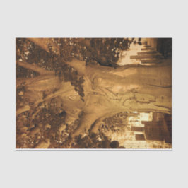 Papel De Seda Cemitério Vintage - Antiquado Folha de Árvore Sepi