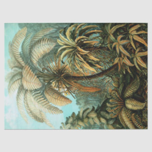 Papel De Seda Cenário tropical com palmeira