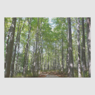 Papel De Seda Centennial Wooded Path II Ellicott City Maryland