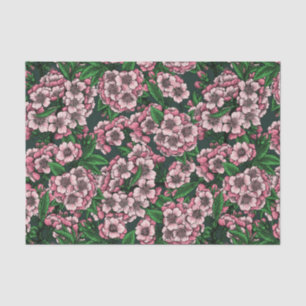 Papel De Seda Cereja floresce 2