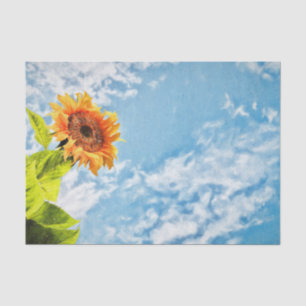 Papel De Seda Céu Azul De Girassol E Nuvens Desfazem Arte Fina