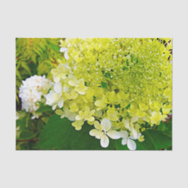 Papel De Seda Chartreuse Green, Limelight Hydrangea,