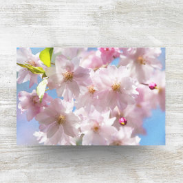 Papel De Seda Cherry Blossoms Em Primavera