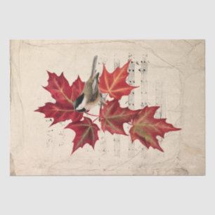 Papel De Seda Chickadee Bird Red Autumn deixa parapergamento mus