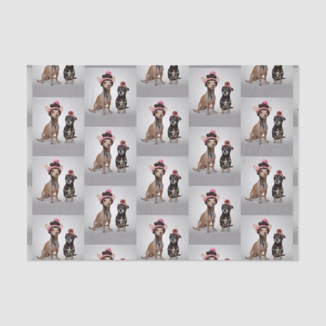 Papel De Seda Chihuahua (Frente )