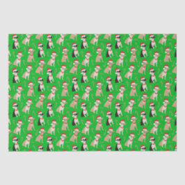 Papel De Seda Chihuahua Santa Hat Candy Cane Natal Verde
