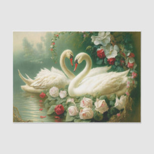 Papel De Seda Cisnes brancas